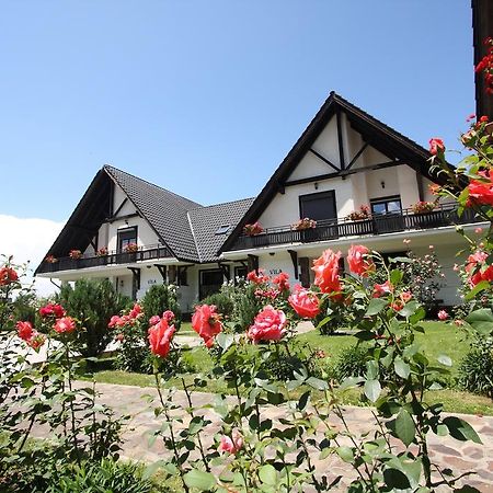 Complex Vile- Milana M Residence Poiana Brasov Buitenkant foto