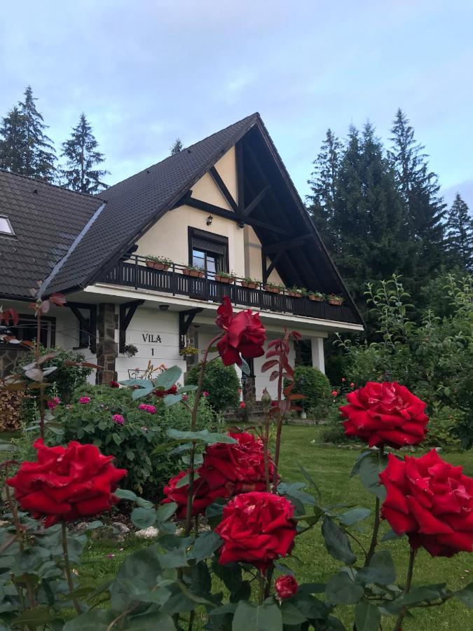 Complex Vile- Milana M Residence Poiana Brasov Buitenkant foto